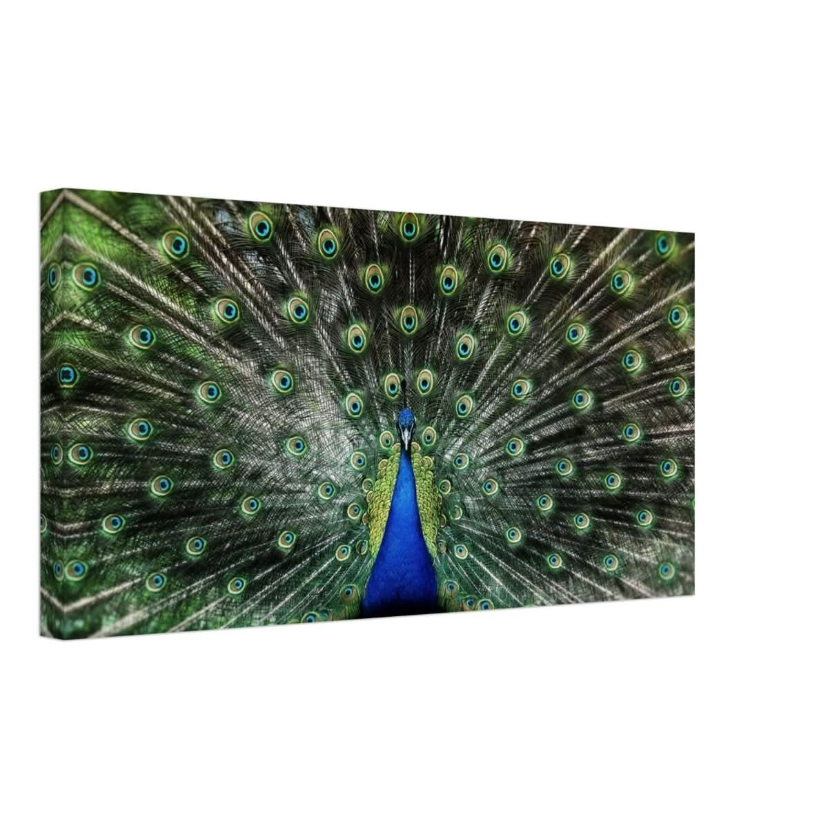 Da Vinci Animal Kingdom Wall art print collection | Peacock | Canvas print - Thick - 30x60 cm / 12x24″ -