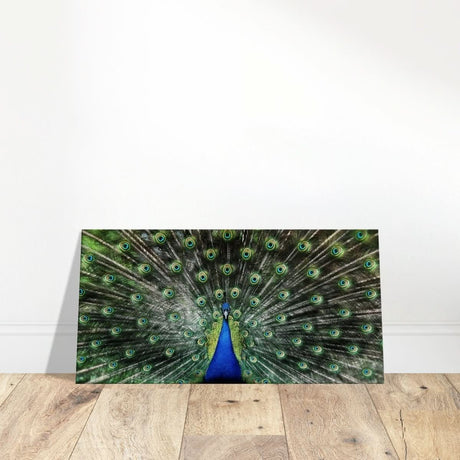 Da Vinci Animal Kingdom Wall art print collection | Peacock | Canvas print - Thick - 30x60 cm / 12x24″ -