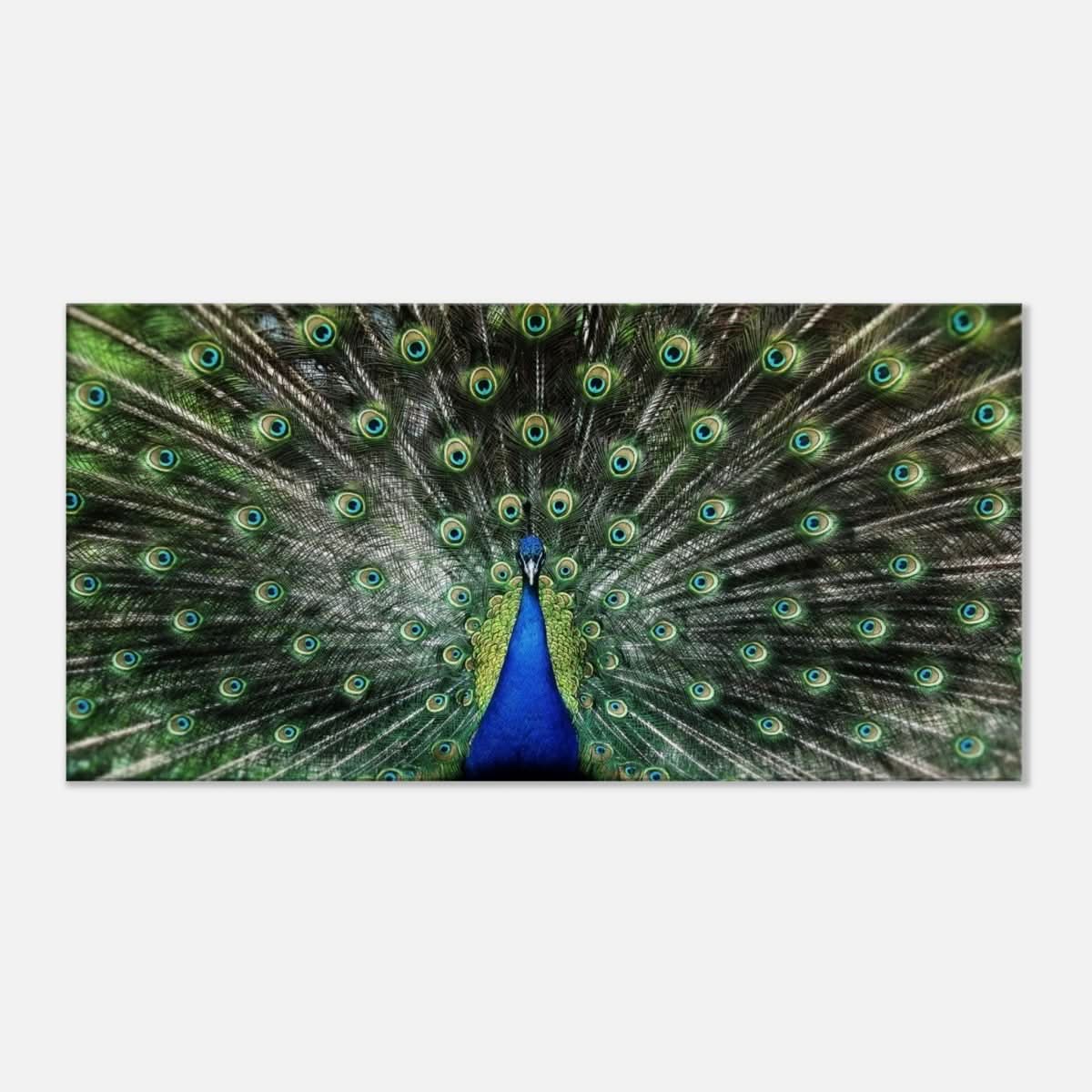 Da Vinci Animal Kingdom Wall art print collection | Peacock | Canvas print - Thick - 30x60 cm / 12x24″ -