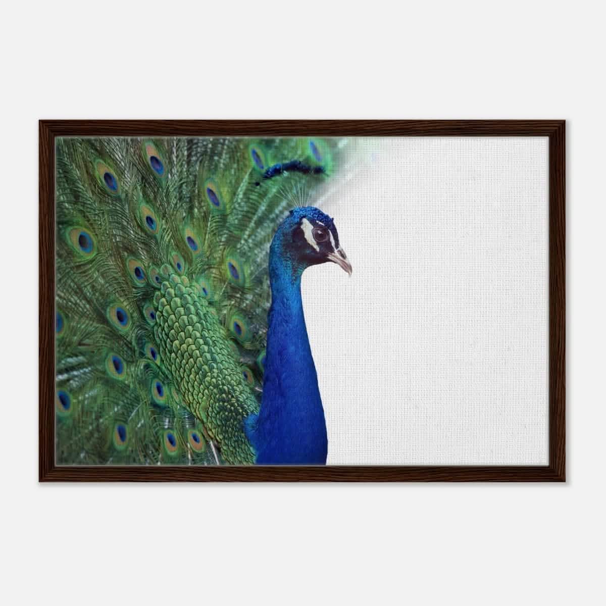 Da Vinci Animal Kingdom Wall art print collection | Peacock - Framed Canvas - 50x75 cm / 20x30″ - Dark wood frame