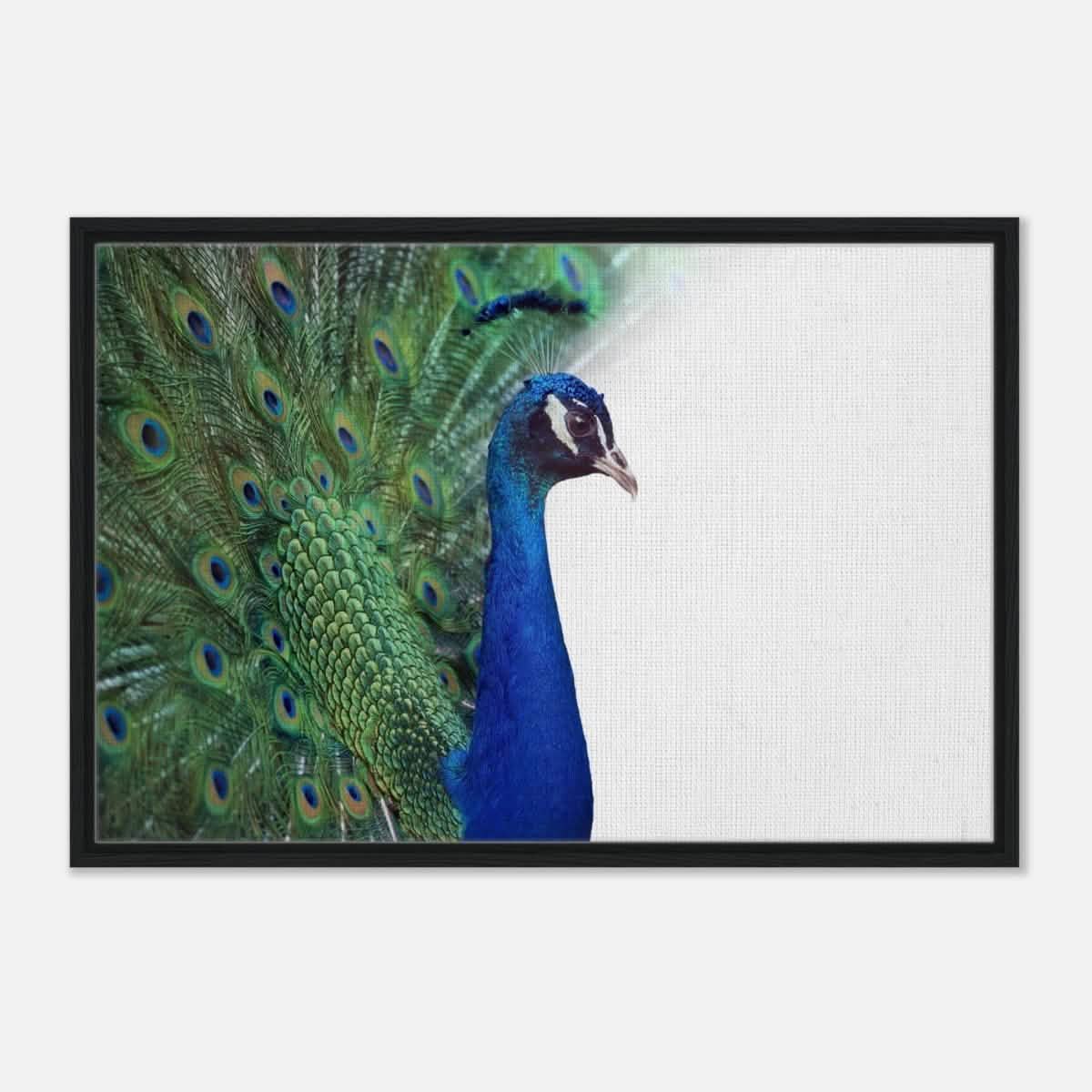 Da Vinci Animal Kingdom Wall art print collection | Peacock - Framed Canvas - 60x90 cm / 24x36″ - Black frame