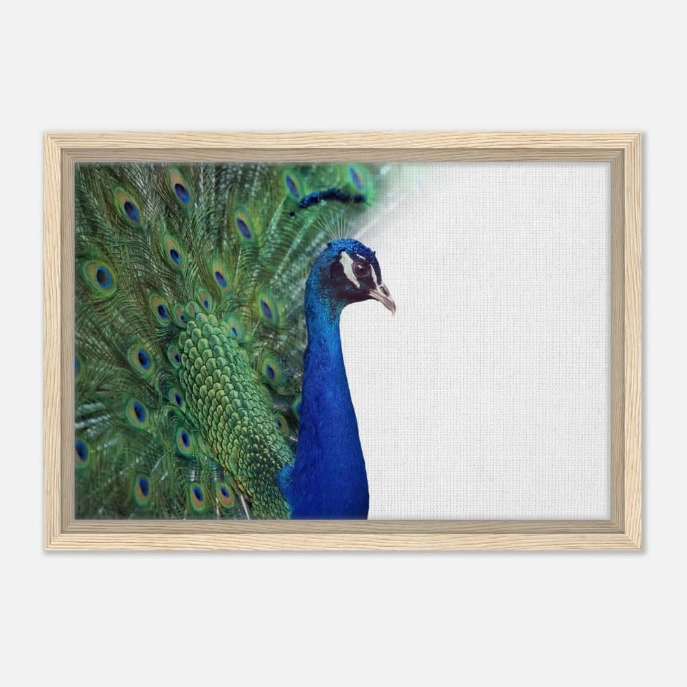 Da Vinci Animal Kingdom Wall art print collection | Peacock - Framed Canvas - 30x45 cm / 12x18″ - Wood frame