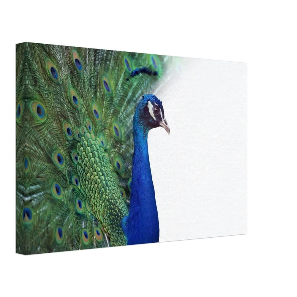 Da Vinci Animal Kingdom Wall art print collection | Peacock - Canvas - 30x45 cm / 12x18″ -