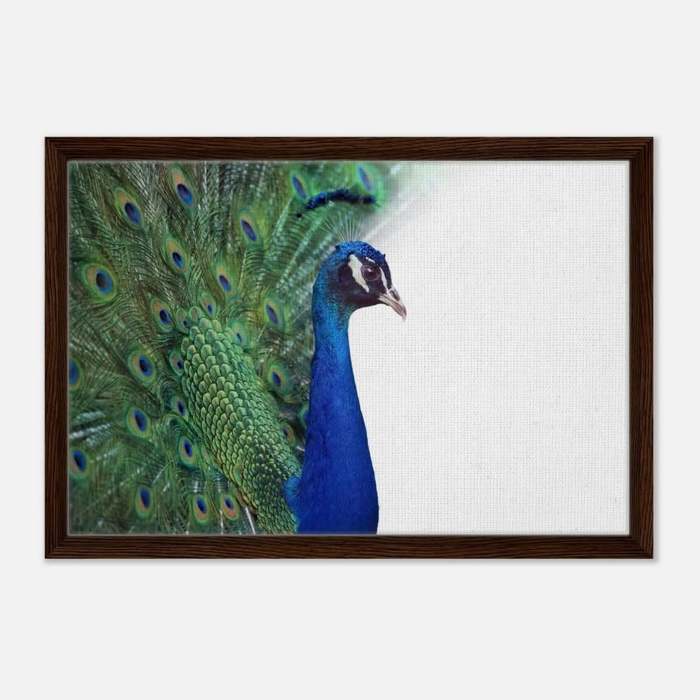 Da Vinci Animal Kingdom Wall art print collection | Peacock - Framed Canvas - 40x60 cm / 16x24″ - Dark wood frame
