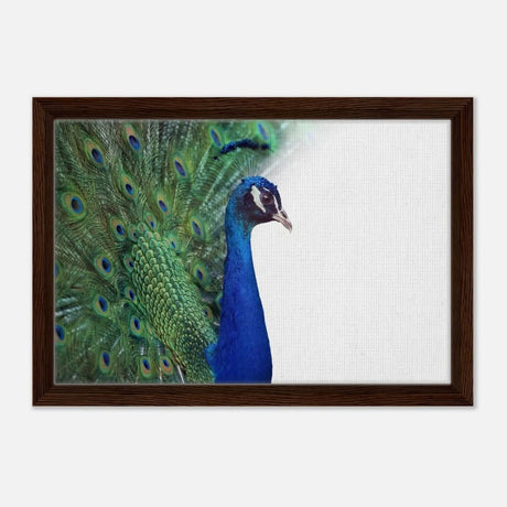 Da Vinci Animal Kingdom Wall art print collection | Peacock - Framed Canvas - 30x45 cm / 12x18″ - Dark wood frame