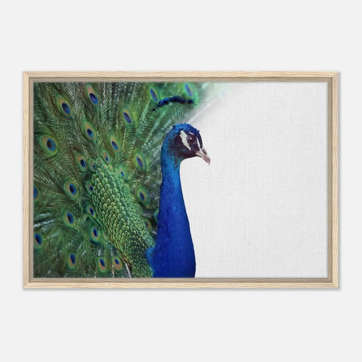 Da Vinci Animal Kingdom Wall art print collection | Peacock - Framed Canvas - 50x75 cm / 20x30″ - Wood frame