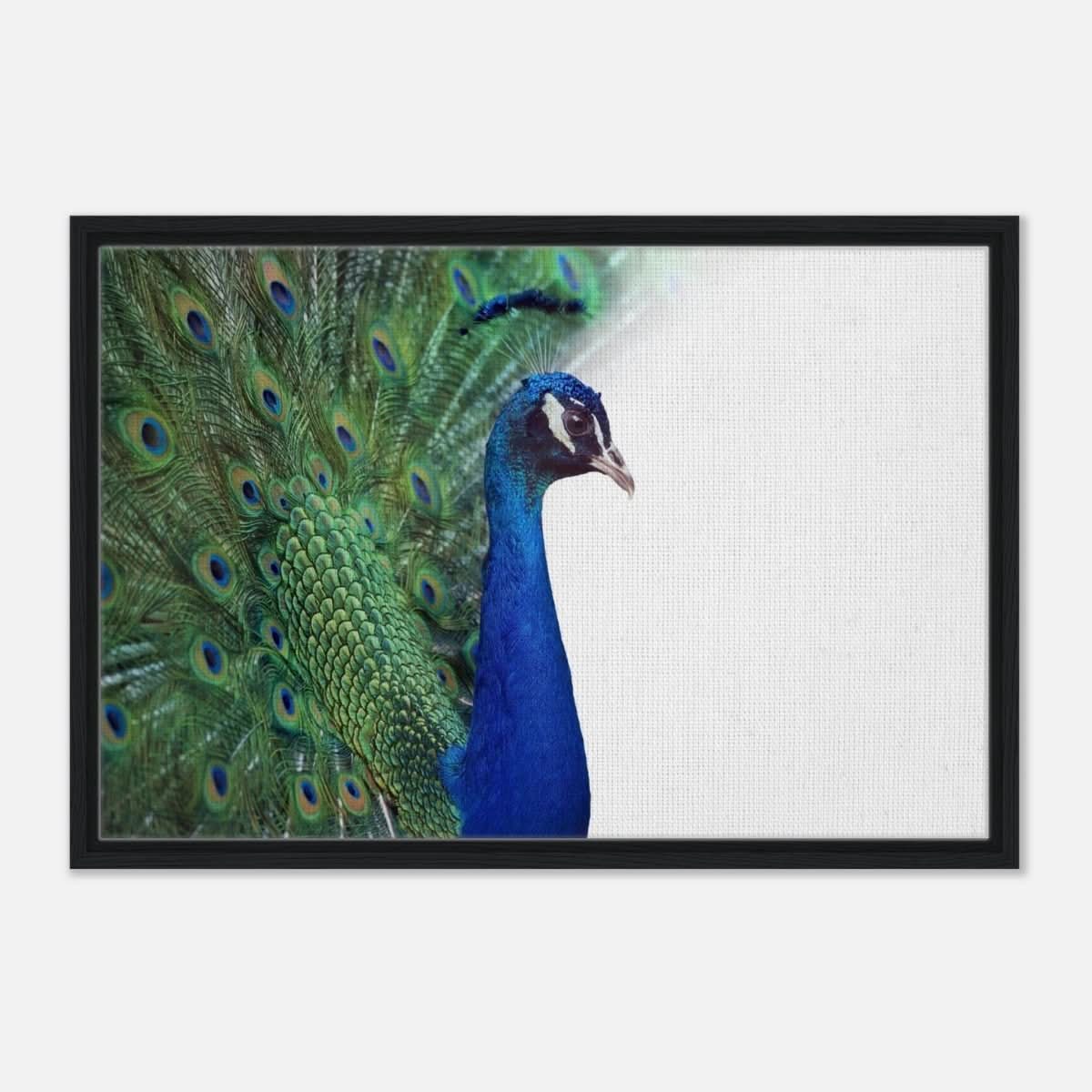 Da Vinci Animal Kingdom Wall art print collection | Peacock - Framed Canvas - 50x75 cm / 20x30″ - Black frame
