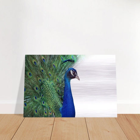 Da Vinci Animal Kingdom Wall art print collection | Peacock - Brushed Aluminum Print - 50x75 cm / 20x30″ -