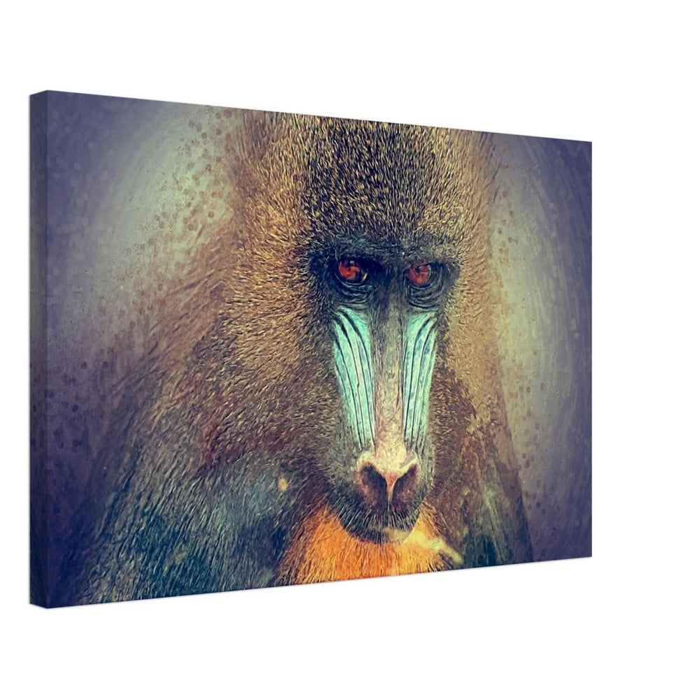Da Vinci Animal Kingdom Wall art print collection | Wildlife | Mandrill - Canvas - 40x60 cm / 16x24″ - Slim