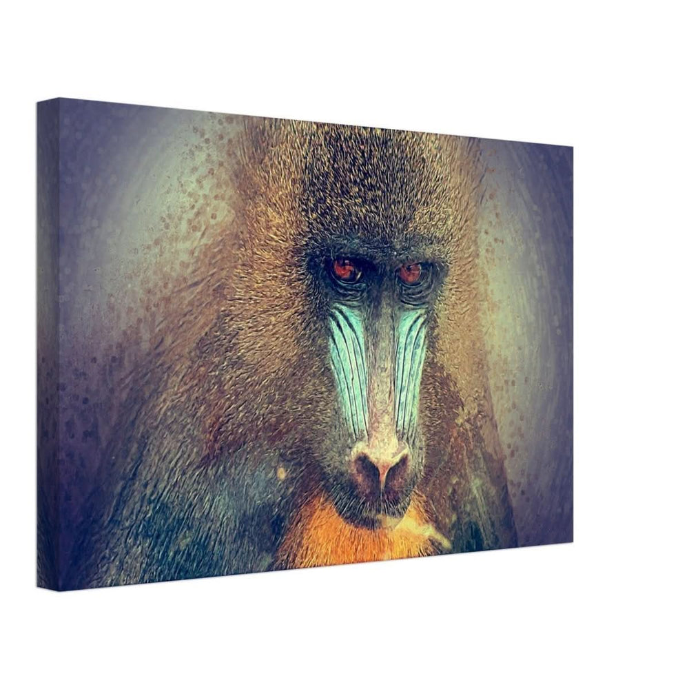 Da Vinci Animal Kingdom Wall art print collection | Wildlife | Mandrill - Canvas - 30x45 cm / 12x18″ - Slim