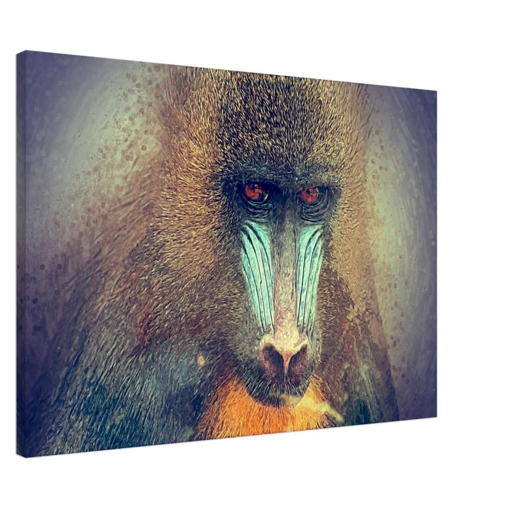 Da Vinci Animal Kingdom Wall art print collection | Wildlife | Mandrill - Canvas - 70x100 cm / 28x40″ - Thick