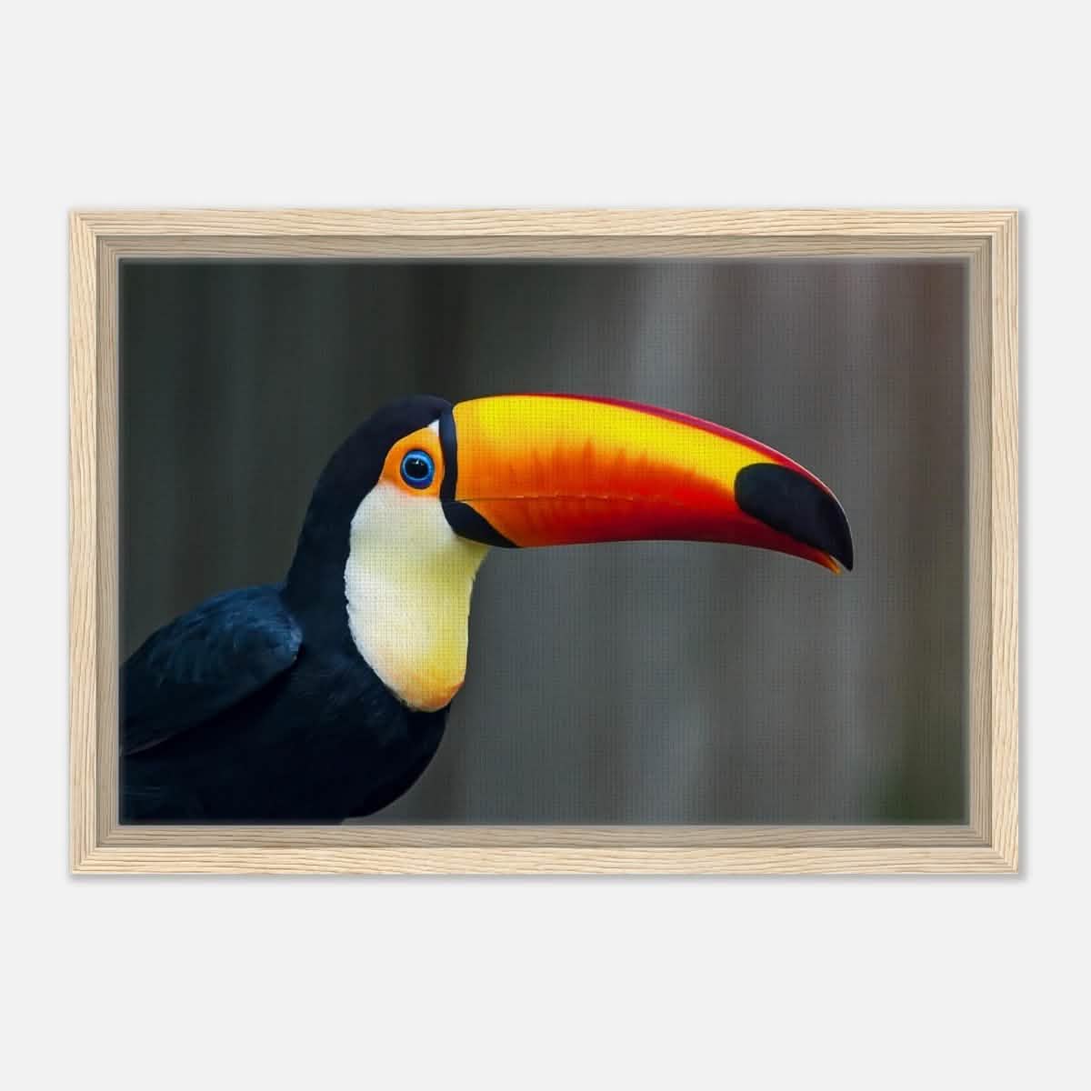 Da Vinci Animal Kingdom Wall art print collection | Wildlife | Toucans Bird - Framed Canvas - 30x45 cm / 12x18″ - Wood frame