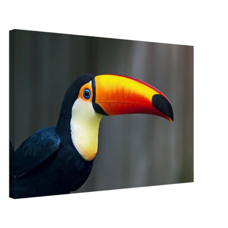 Da Vinci Animal Kingdom Wall art print collection | Wildlife | Toucans Bird - Wood Prints - 50x75 cm / 20x30″ - 10 mm Wood
