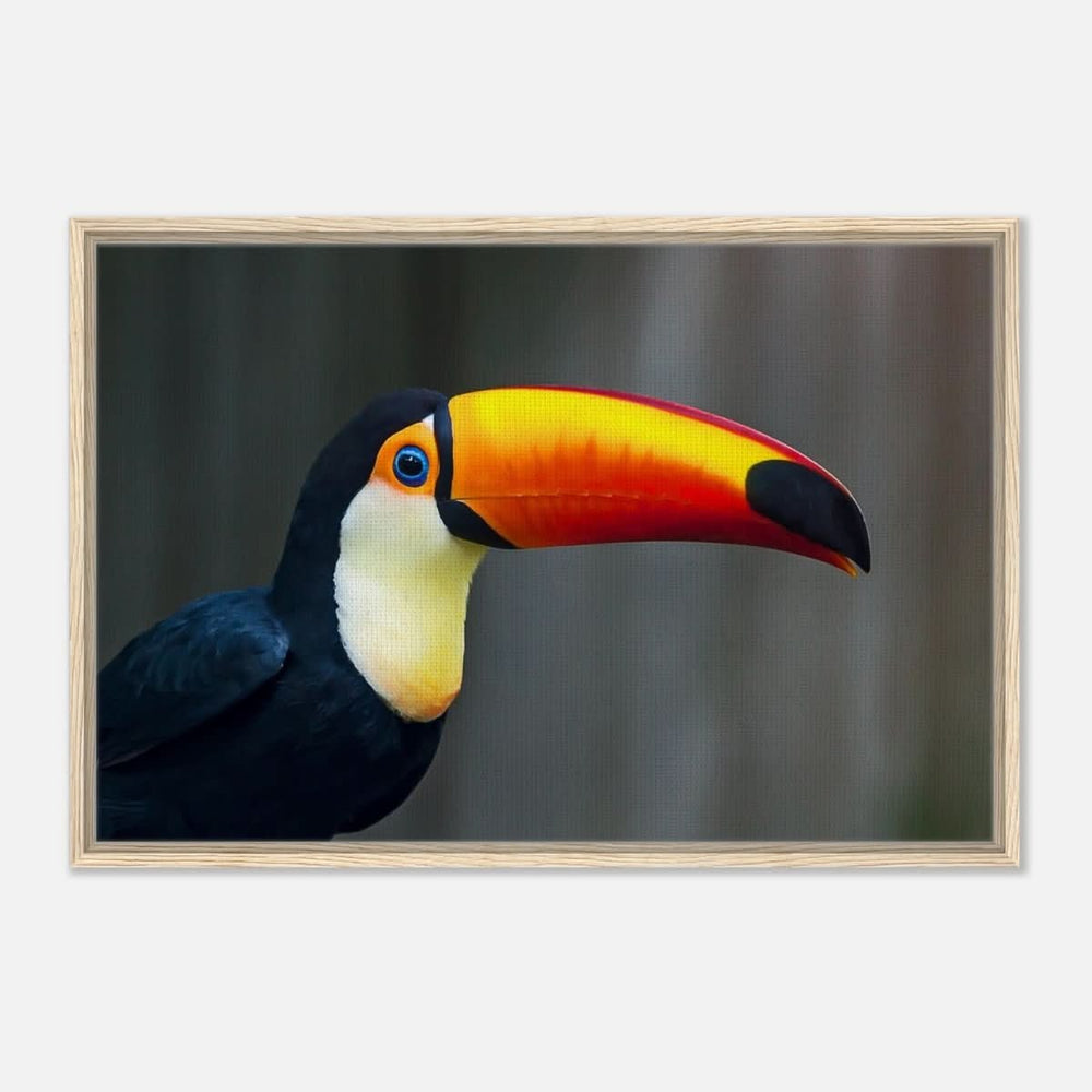 Da Vinci Animal Kingdom Wall art print collection | Wildlife | Toucans Bird - Framed Canvas - 60x90 cm / 24x36″ - Wood frame