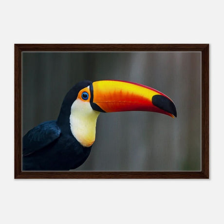 Da Vinci Animal Kingdom Wall art print collection | Wildlife | Toucans Bird - Framed Canvas - 40x60 cm / 16x24″ - Dark wood frame