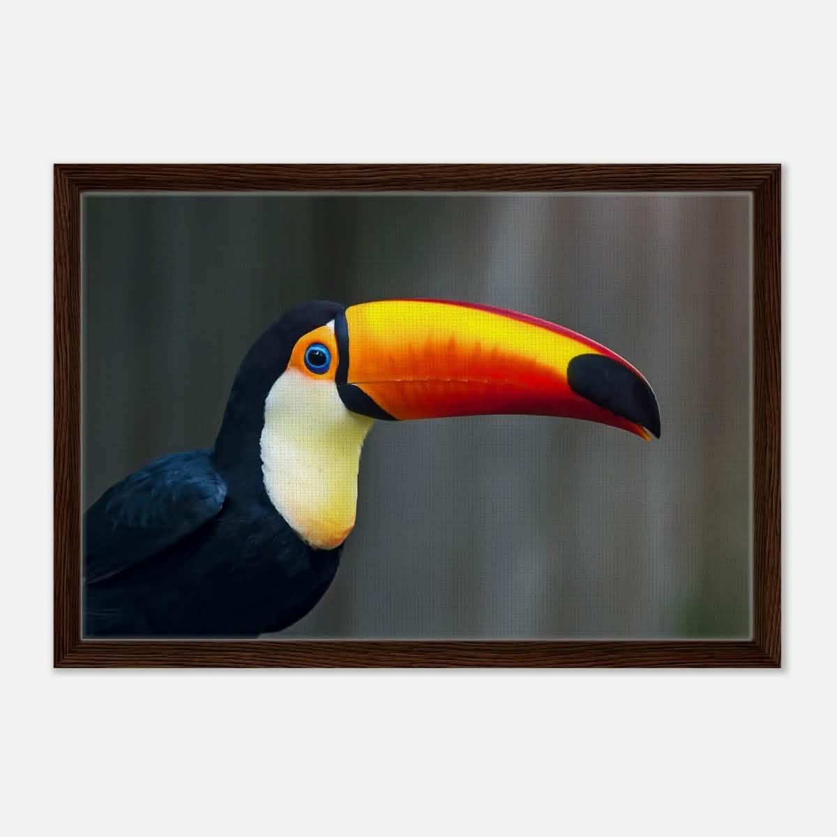 Da Vinci Animal Kingdom Wall art print collection | Wildlife | Toucans Bird - Framed Canvas - 40x60 cm / 16x24″ - Dark wood frame