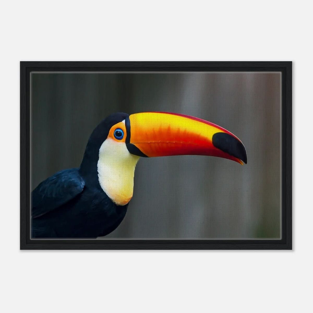 Da Vinci Animal Kingdom Wall art print collection | Wildlife | Toucans Bird - Framed Canvas - 40x60 cm / 16x24″ - Black frame