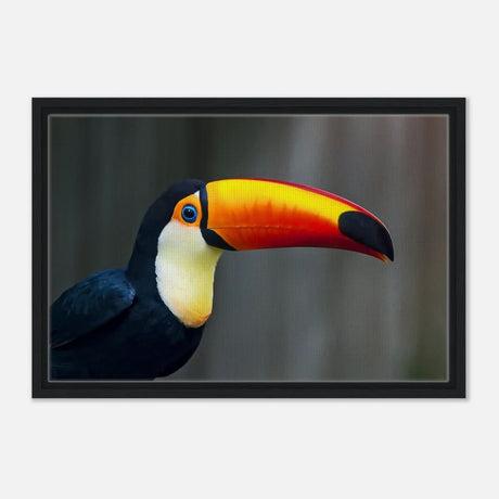 Da Vinci Animal Kingdom Wall art print collection | Wildlife | Toucans Bird - Framed Canvas - 40x60 cm / 16x24″ - Black frame