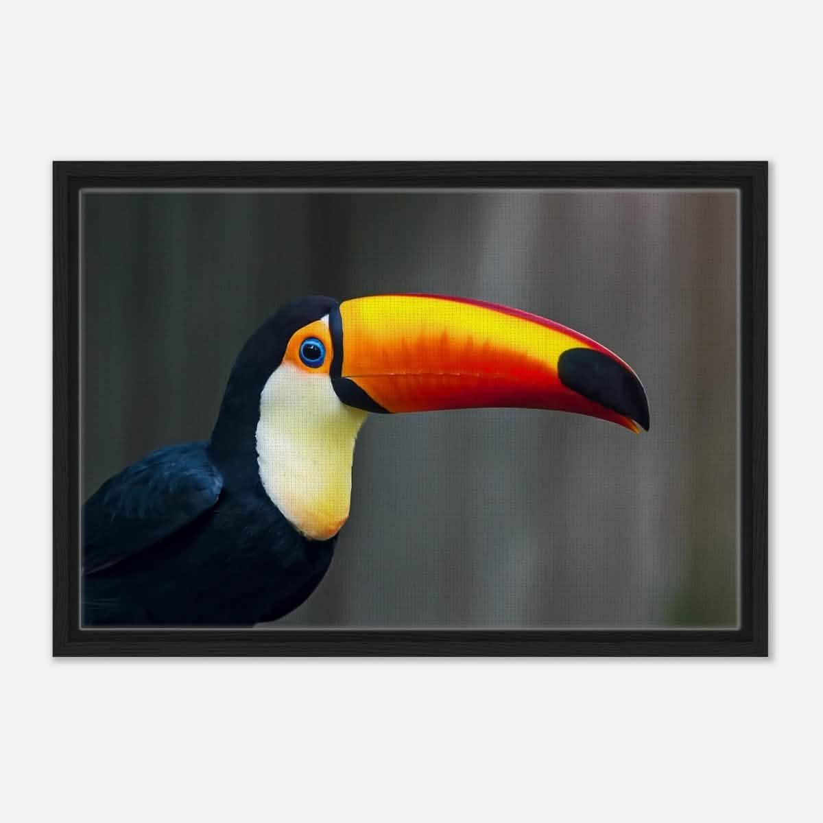 Da Vinci Animal Kingdom Wall art print collection | Wildlife | Toucans Bird - Framed Canvas - 40x60 cm / 16x24″ - Black frame