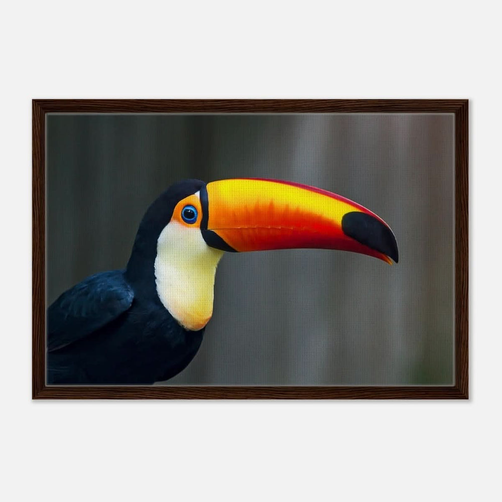 Da Vinci Animal Kingdom Wall art print collection | Wildlife | Toucans Bird - Framed Canvas - 50x75 cm / 20x30″ - Dark wood frame