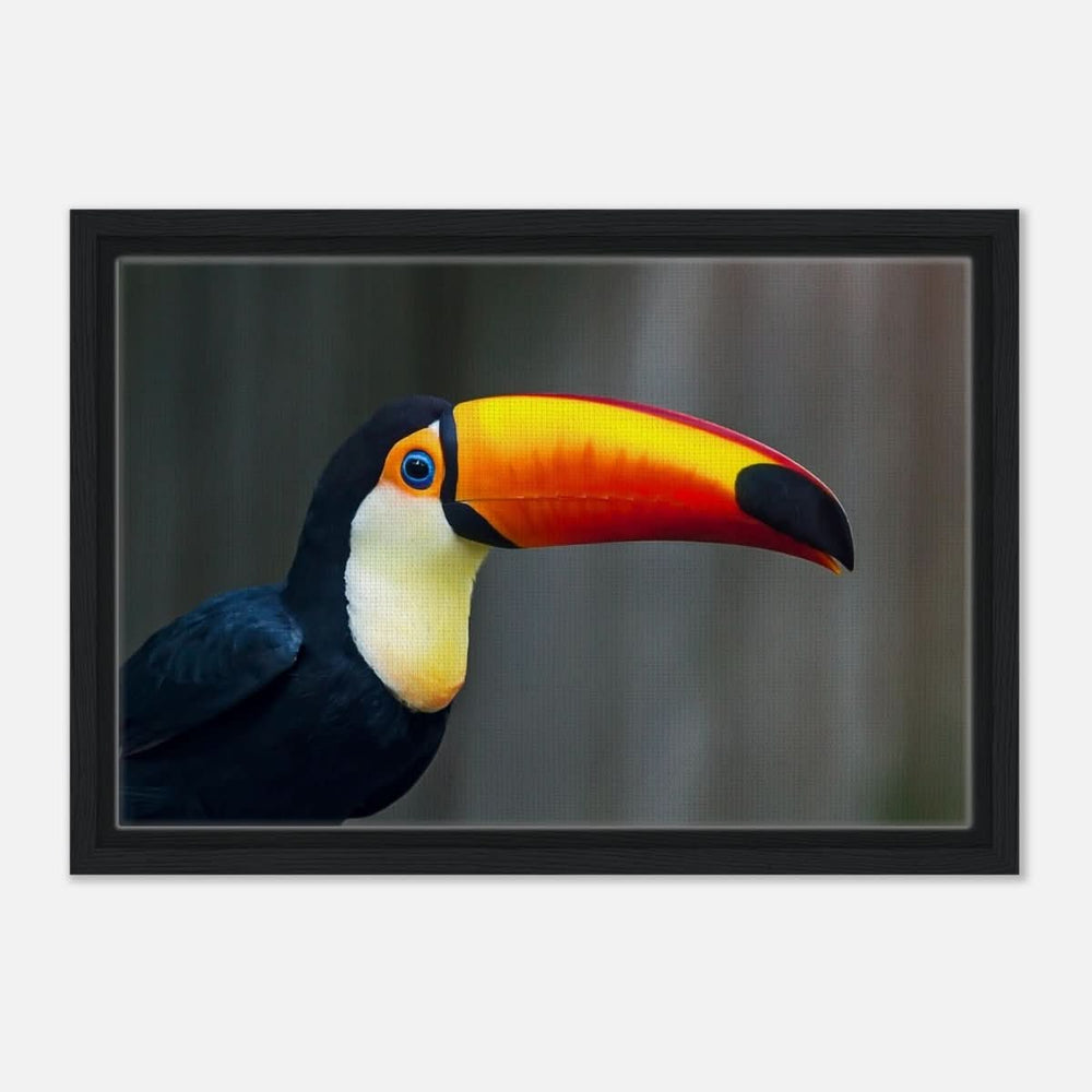 Da Vinci Animal Kingdom Wall art print collection | Wildlife | Toucans Bird - Framed Canvas - 30x45 cm / 12x18″ - Black frame