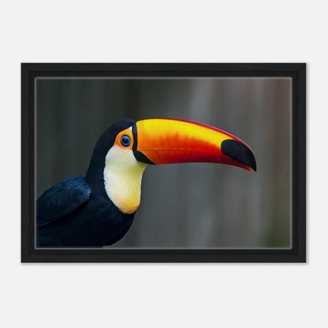 Da Vinci Animal Kingdom Wall art print collection | Wildlife | Toucans Bird - Framed Canvas - 30x45 cm / 12x18″ - Black frame