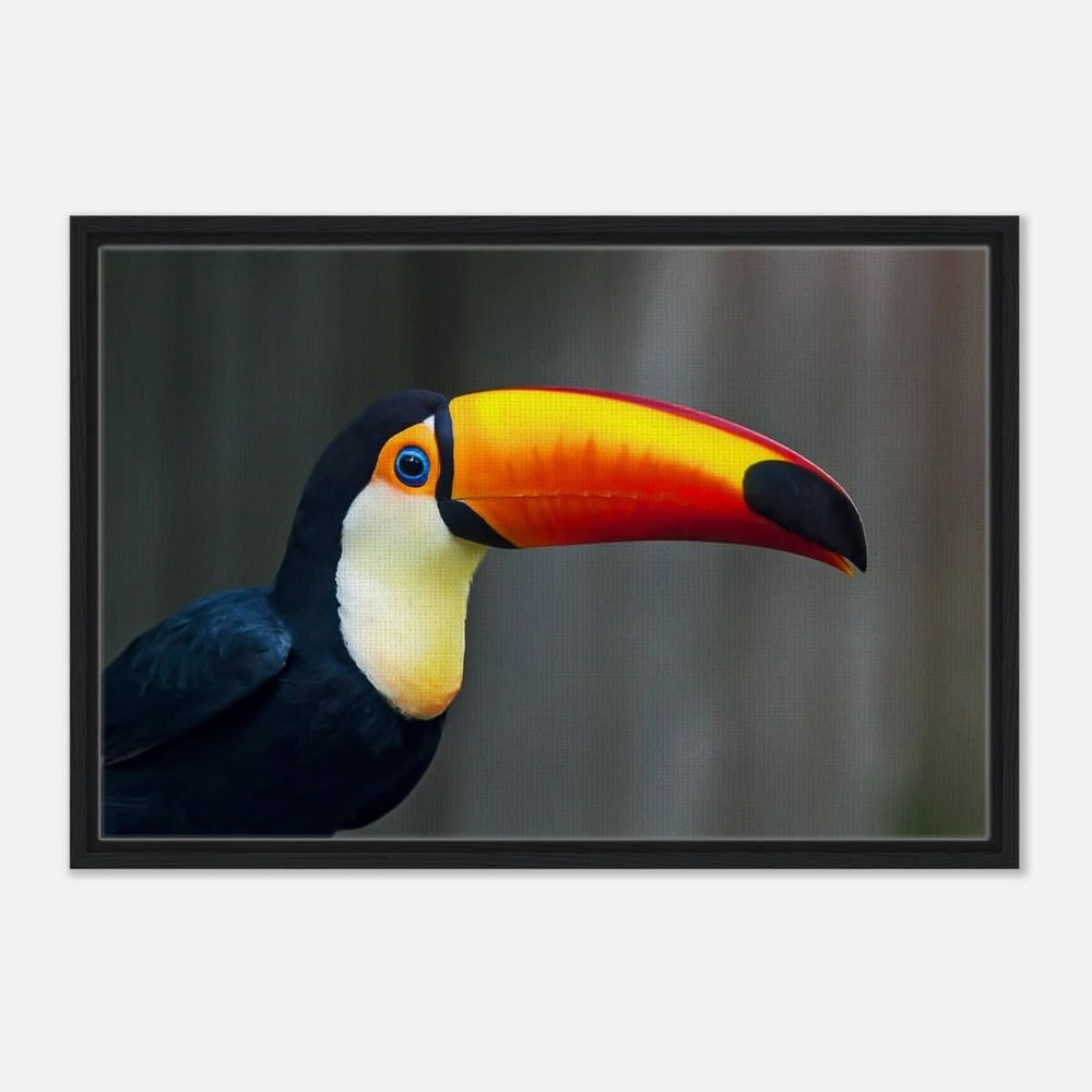 Da Vinci Animal Kingdom Wall art print collection | Wildlife | Toucans Bird - Framed Canvas - 50x75 cm / 20x30″ - Black frame