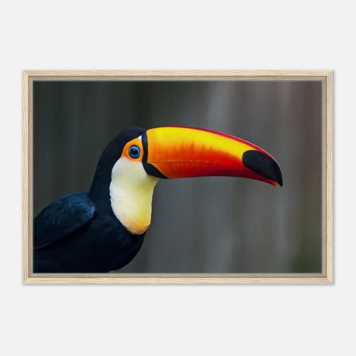 Da Vinci Animal Kingdom Wall art print collection | Wildlife | Toucans Bird - Framed Canvas - 50x75 cm / 20x30″ - Wood frame