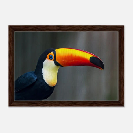 Da Vinci Animal Kingdom Wall art print collection | Wildlife | Toucans Bird - Framed Canvas - 30x45 cm / 12x18″ - Dark wood frame