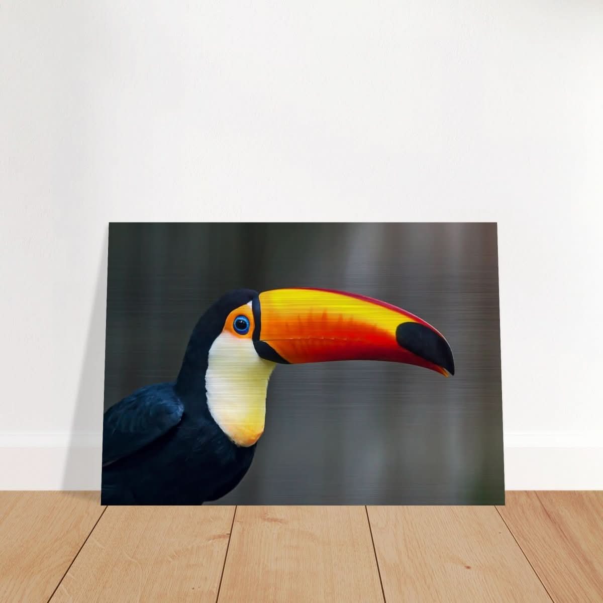 Da Vinci Animal Kingdom Wall art print collection | Wildlife | Toucans Bird - Brushed Aluminum Print - 70x100 cm / 28x40″ -