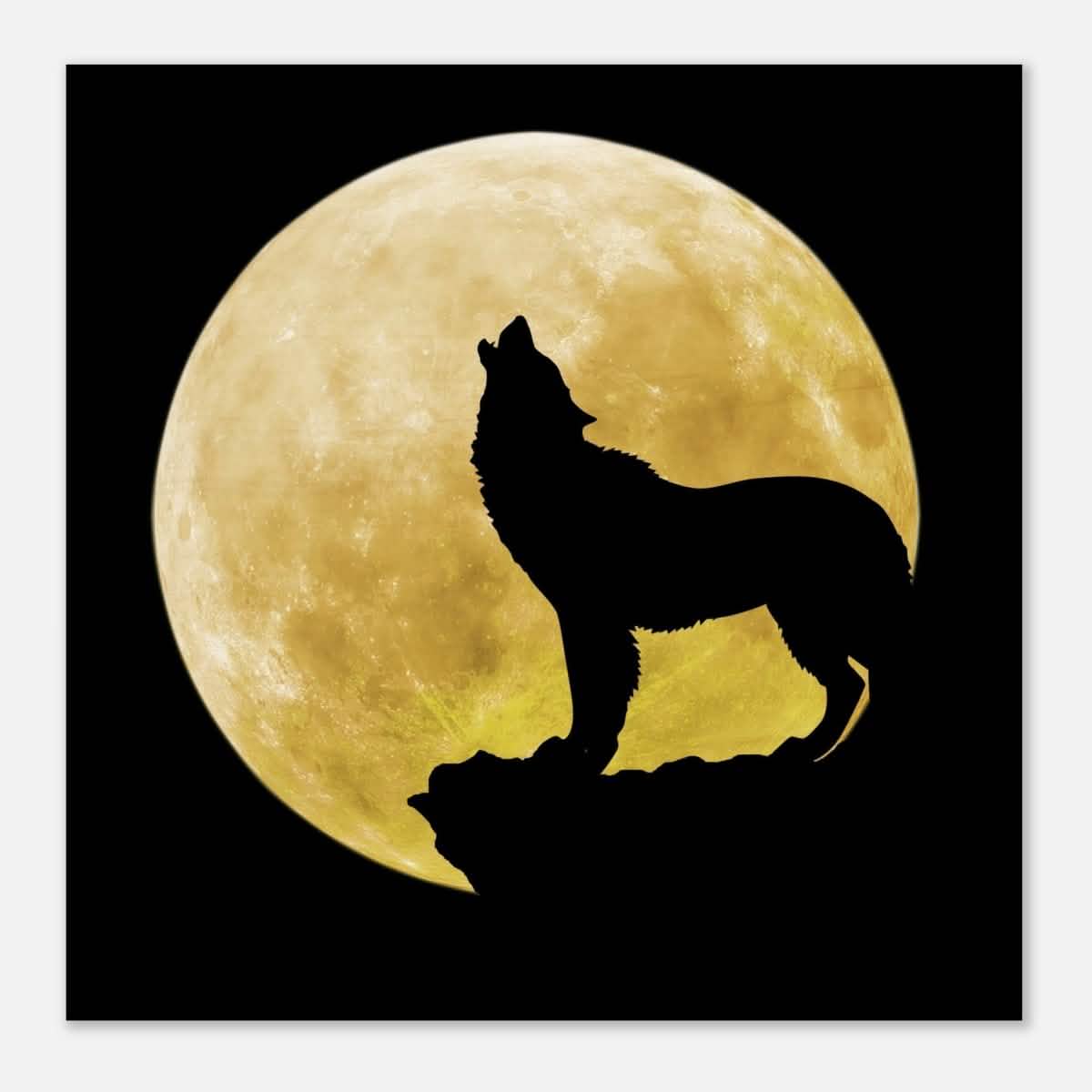 Da Vinci Animal Kingdom Wall art print collection | Wolf - Wood Prints - 40x40 cm / 16x16″ - 10 mm