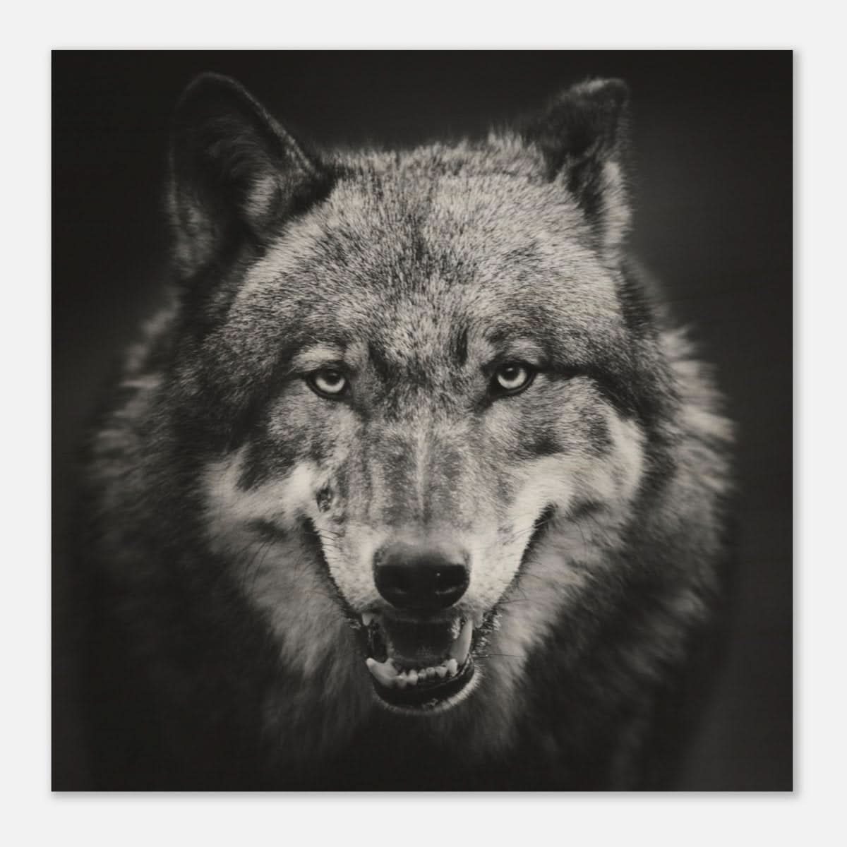 Da Vinci Animal Kingdom Wall art print collection | Wolf - Wood Prints - 40x40 cm / 16x16″ - 20 mm