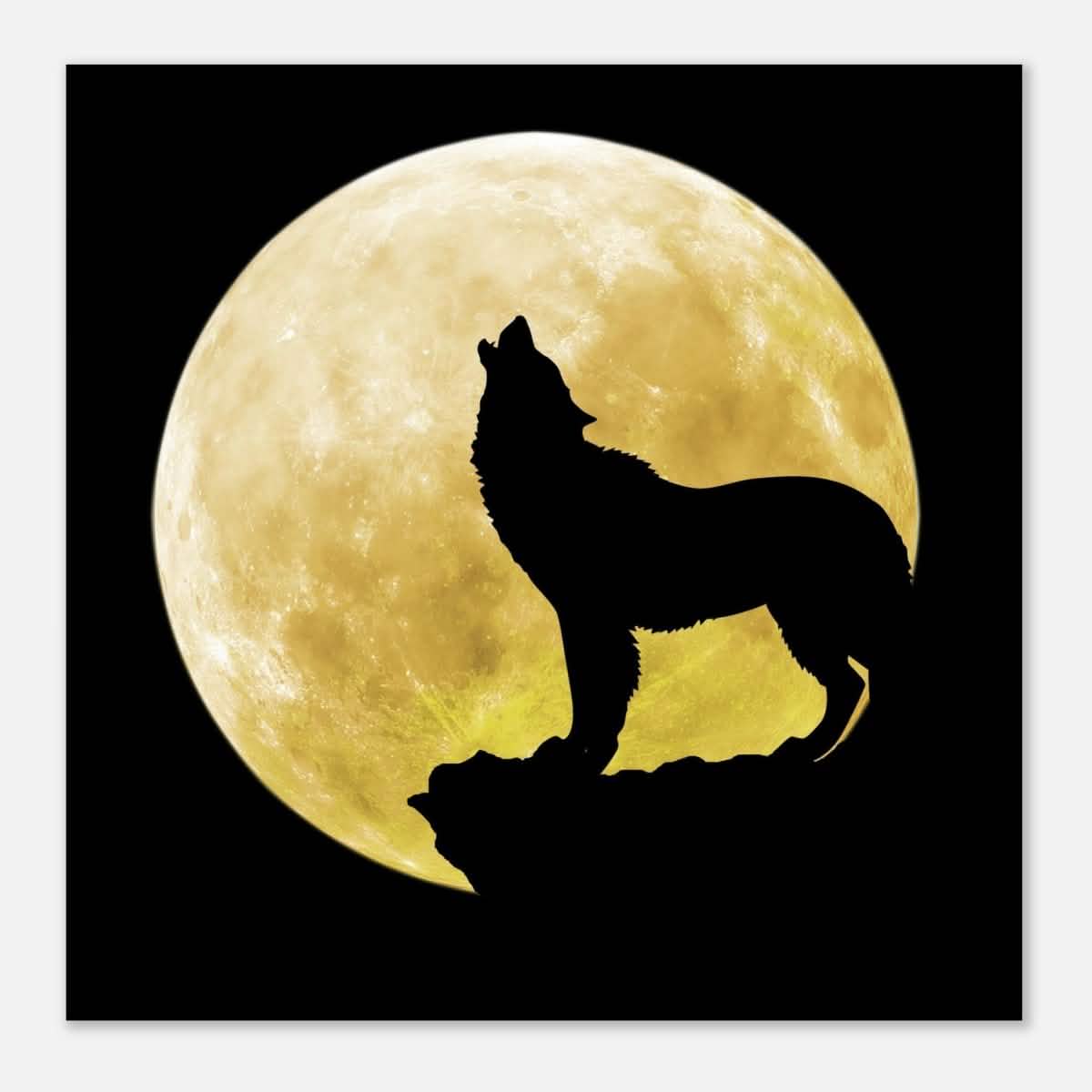 Da Vinci Animal Kingdom Wall art print collection | Wolf - Aluminum Print - 60x60 cm / 24x24″ -