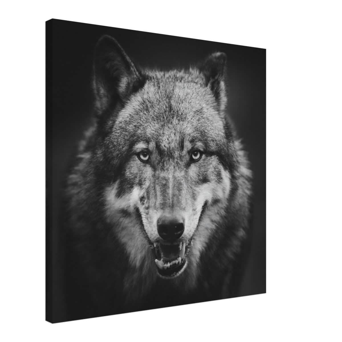 Da Vinci Animal Kingdom Wall art print collection | Wolf - Canvas - 60x60 cm / 24x24″ - Slim