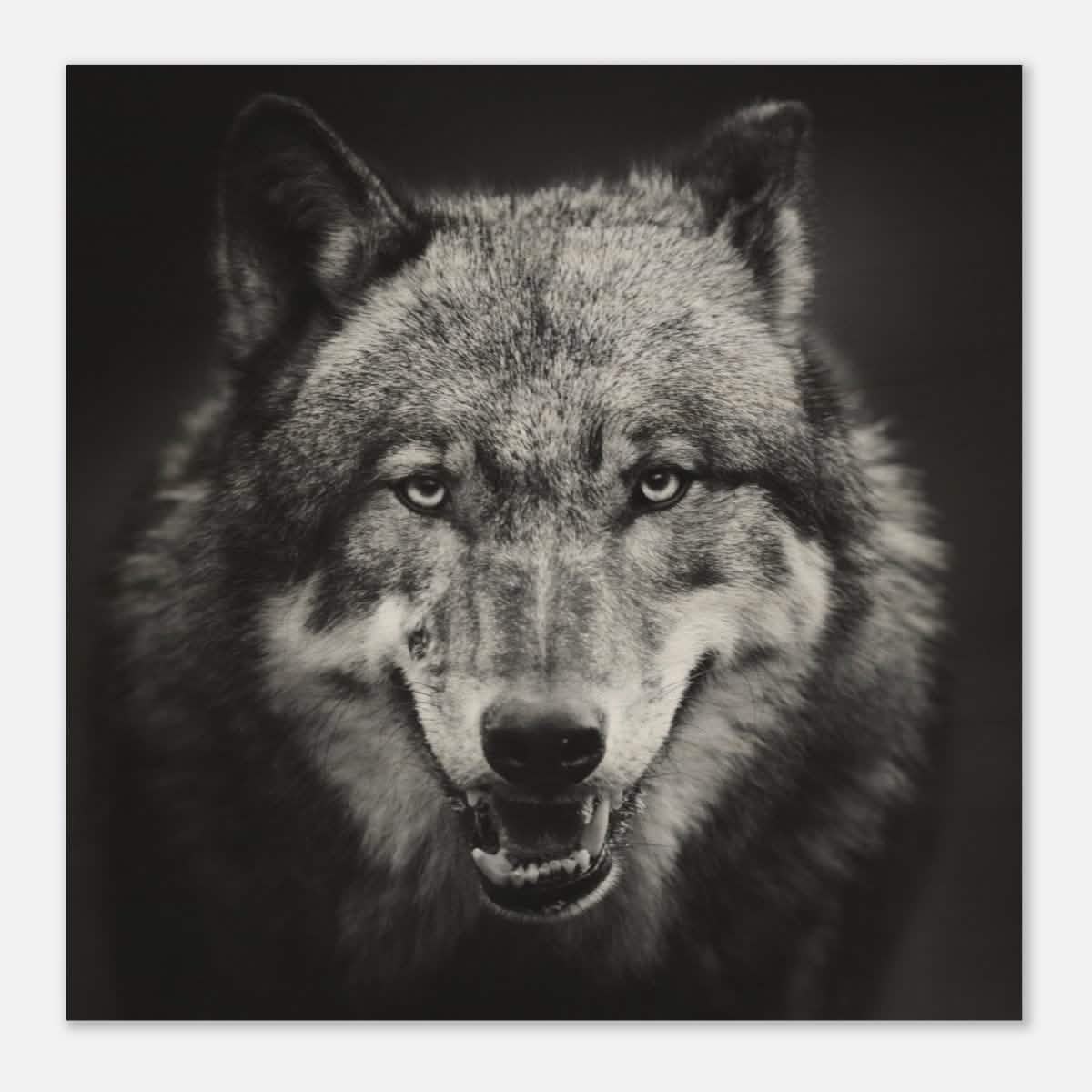 Da Vinci Animal Kingdom Wall art print collection | Wolf - Wood Prints - 30x30 cm / 12x12″ - 20 mm