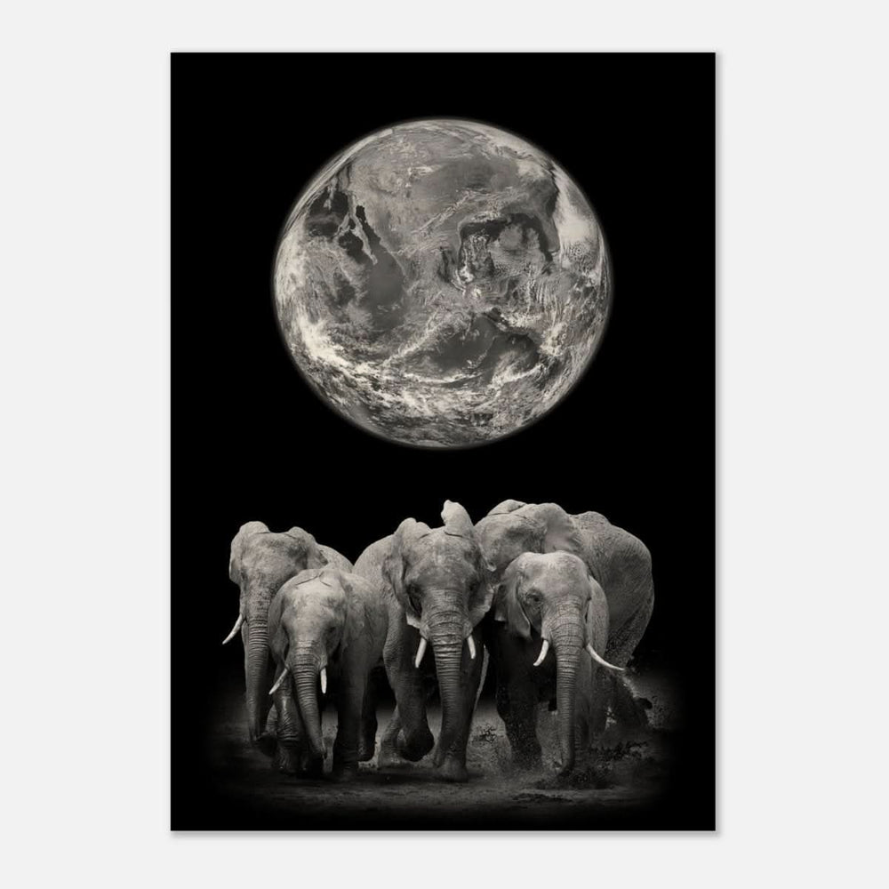 Da Vinci Animal Kingdom Wall art print | Elephant - Wood Prints - 70x100 cm / 28x40″ - 10 mm