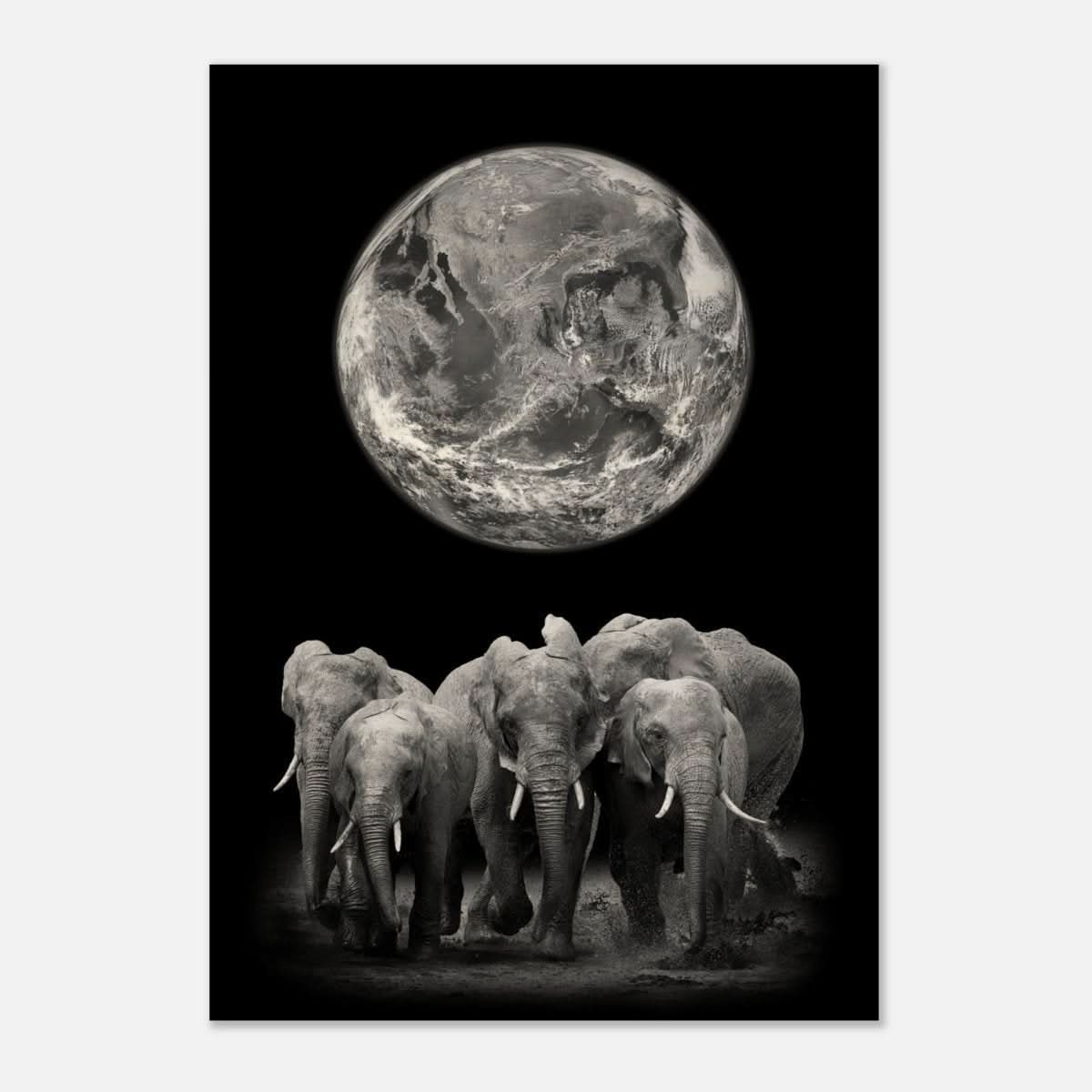 Da Vinci Animal Kingdom Wall art print | Elephant - Wood Prints - 70x100 cm / 28x40″ - 10 mm