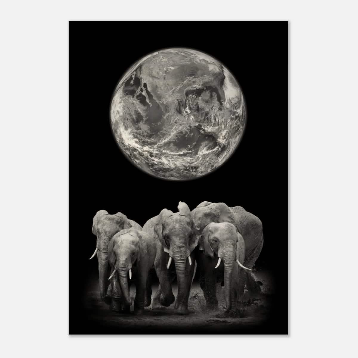 Da Vinci Animal Kingdom Wall art print | Elephant - Wood Prints - 70x100 cm / 28x40″ - 10 mm