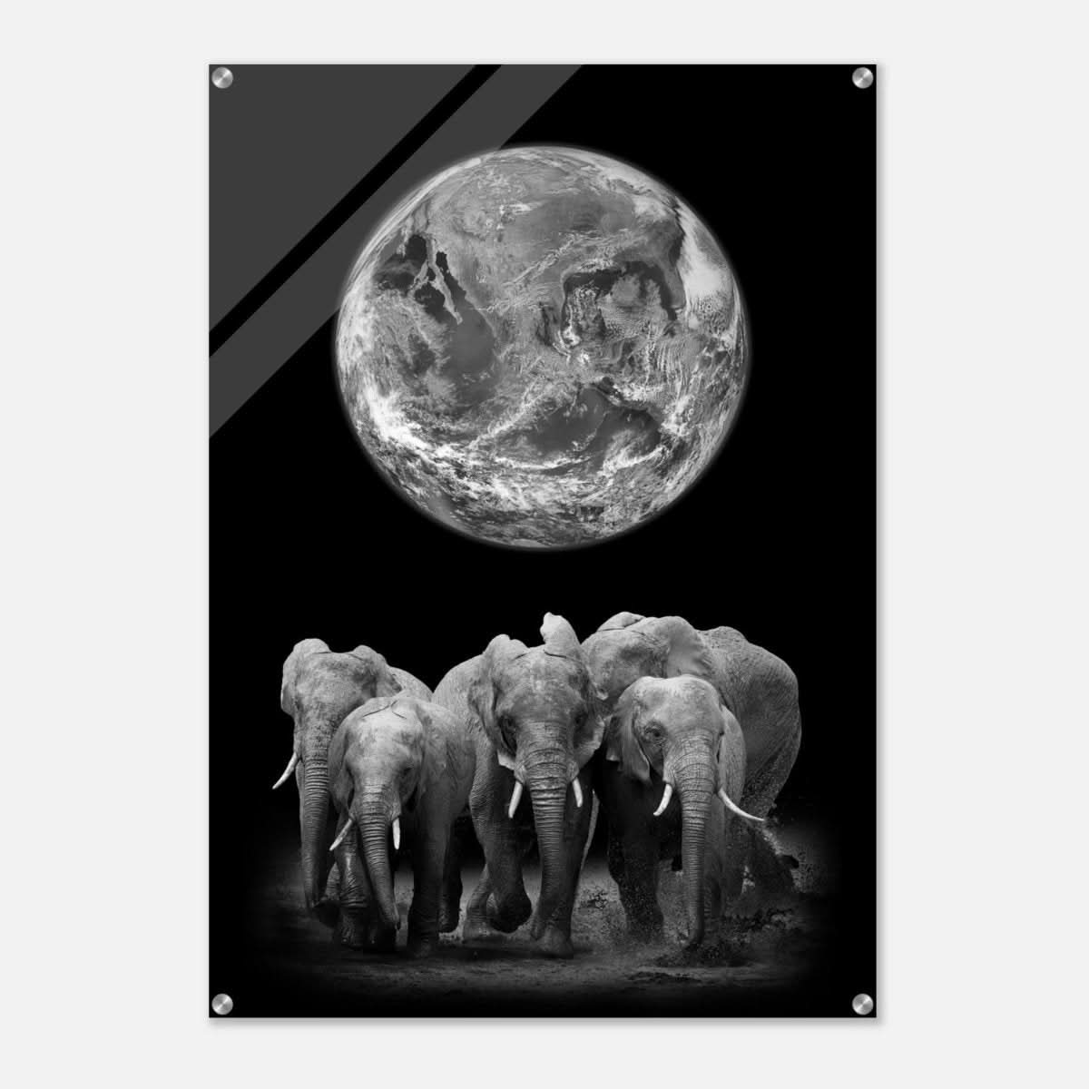 Da Vinci Animal Kingdom Wall art print | Elephant - Acrylic Print - 70x100 cm / 28x40″ -