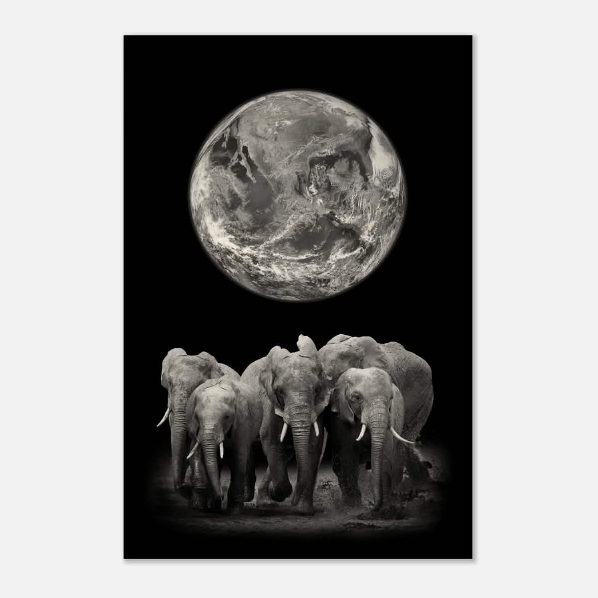Da Vinci Animal Kingdom Wall art print | Elephant - Wood Prints - 30x45 cm / 12x18″ - 10 mm