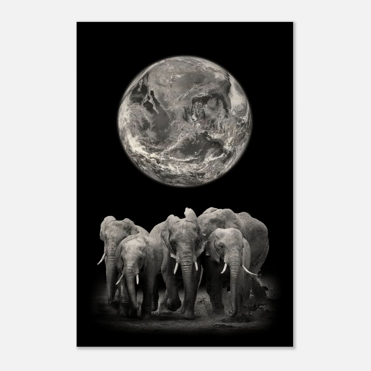 Da Vinci Animal Kingdom Wall art print | Elephant - Wood Prints - 50x75 cm / 20x30″ - 10 mm