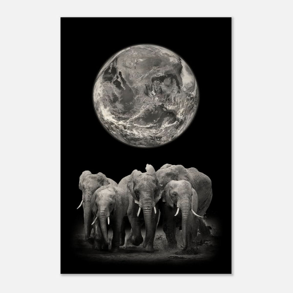 Da Vinci Animal Kingdom Wall art print | Elephant - Wood Prints - 40x60 cm / 16x24″ - 10 mm