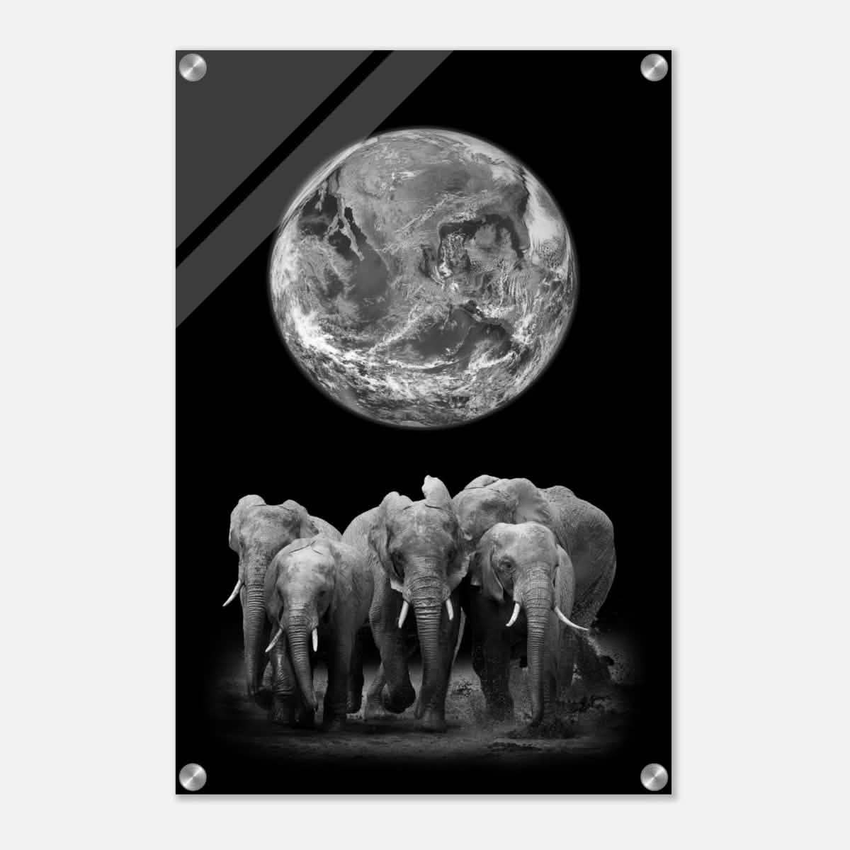 Da Vinci Animal Kingdom Wall art print | Elephant - Acrylic Print - 40x60 cm / 16x24″ -