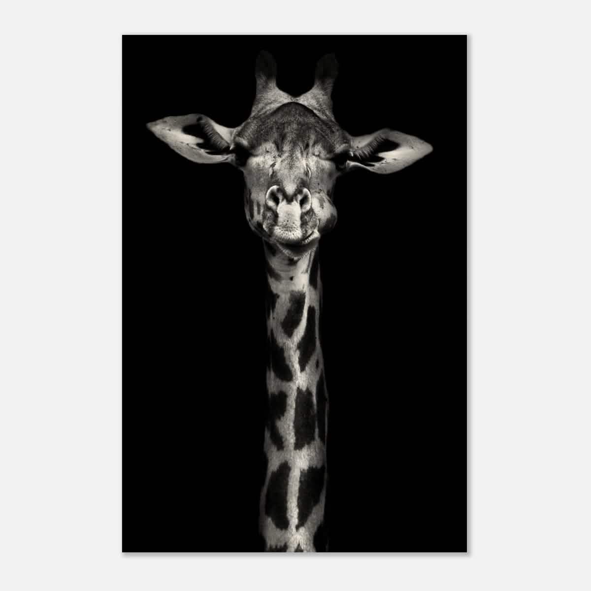 Da Vinci Animal Kingdom Wall art print | Giraffe | Minimalist Black and white - Wood Prints - 50x75 cm / 20x30″ - 20 mm