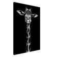 Da Vinci Animal Kingdom Wall art print | Giraffe | Minimalist Black and white - Canvas - 70x100 cm / 28x40″ - Slim