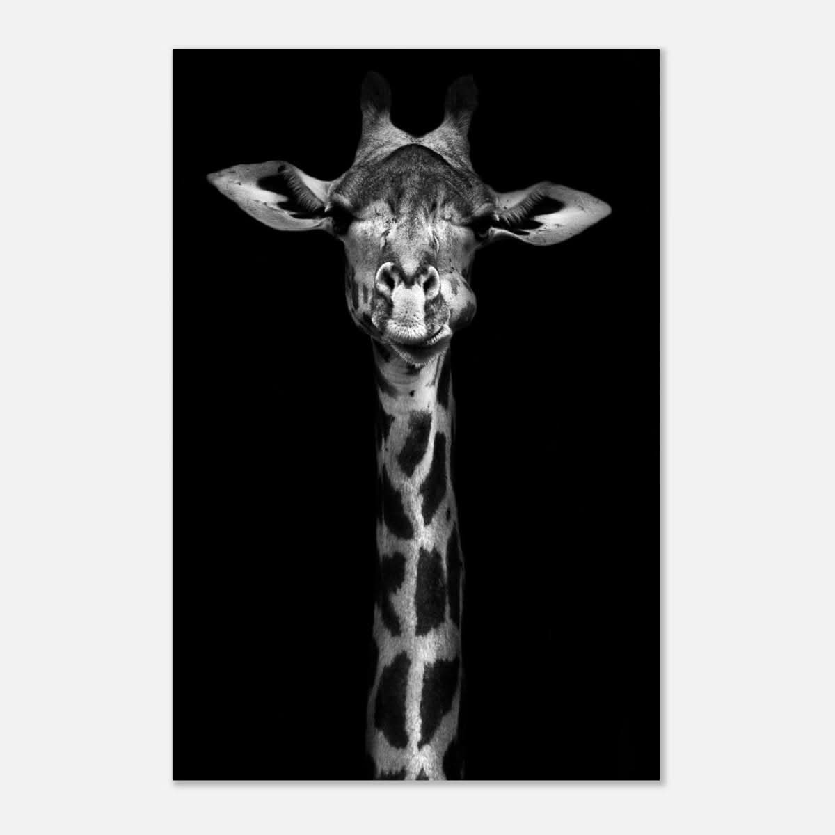Da Vinci Animal Kingdom Wall art print | Giraffe | Minimalist Black and white - Aluminum Print - 40x60 cm / 16x24″ -
