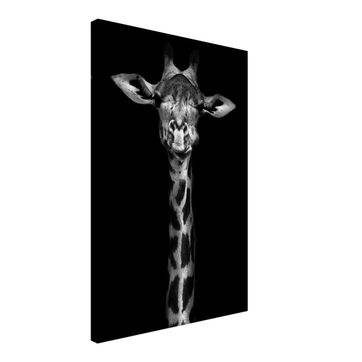 Da Vinci Animal Kingdom Wall art print | Giraffe | Minimalist Black and white - Canvas - 50x75 cm / 20x30″ - Thick
