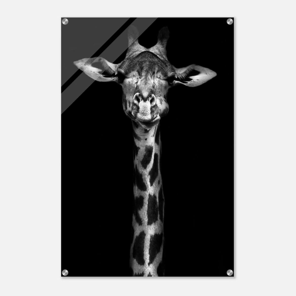 Da Vinci Animal Kingdom Wall art print | Giraffe | Minimalist Black and white - Acrylic Print - 60x90 cm / 24x36″ -
