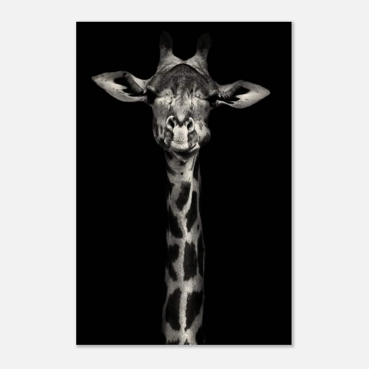 Da Vinci Animal Kingdom Wall art print | Giraffe | Minimalist Black and white - Wood Prints - 30x45 cm / 12x18″ - 20 mm