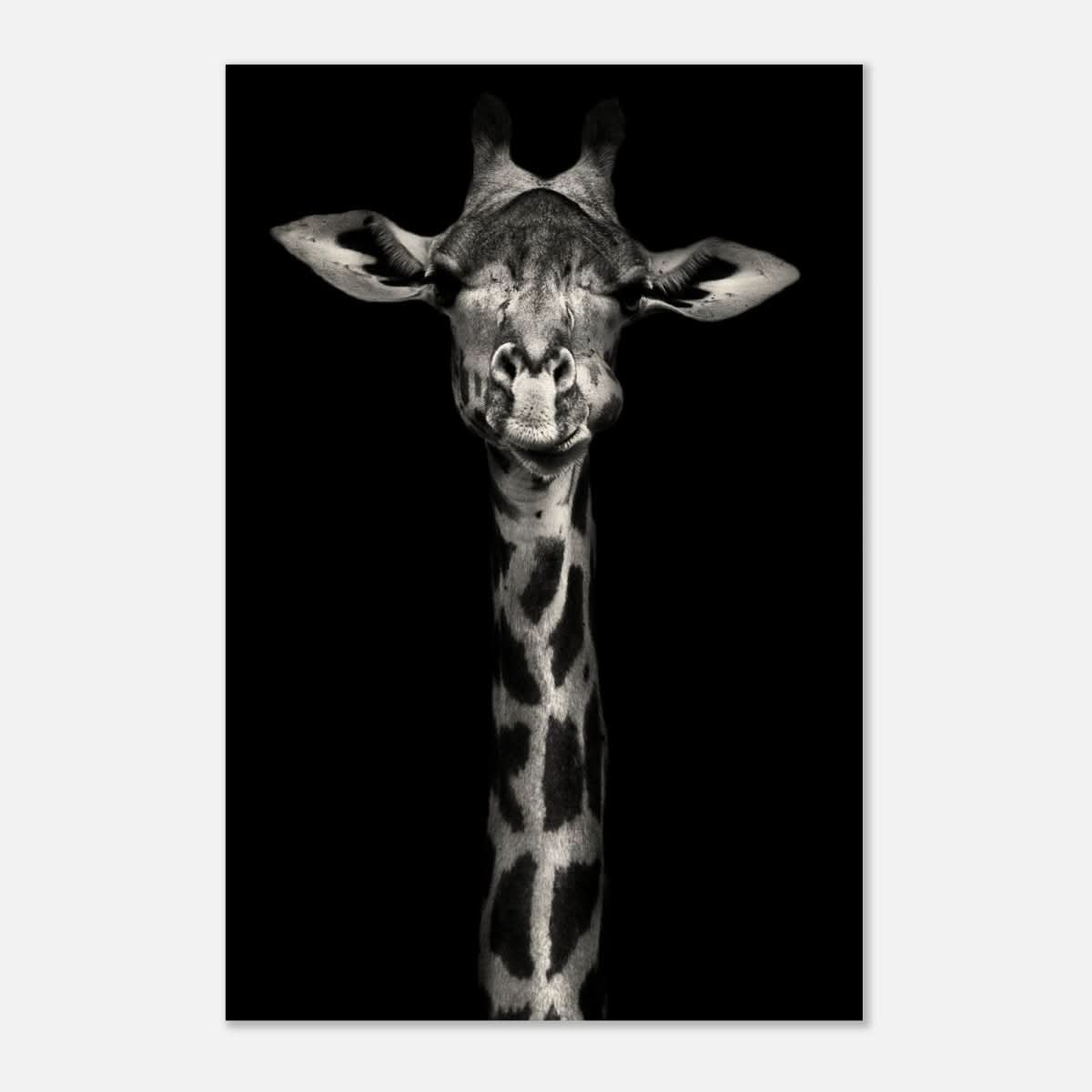 Da Vinci Animal Kingdom Wall art print | Giraffe | Minimalist Black and white - Wood Prints - 50x75 cm / 20x30″ - 10 mm